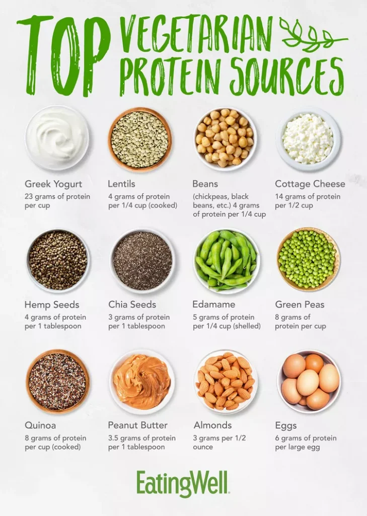 Top Vegetarian Protein Sources Top Vegetarian Protein Sources